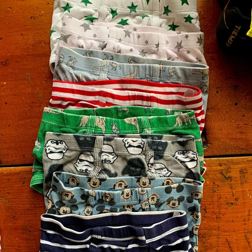 Lot of 8 Organic Unders from Hanna Andersson 4T